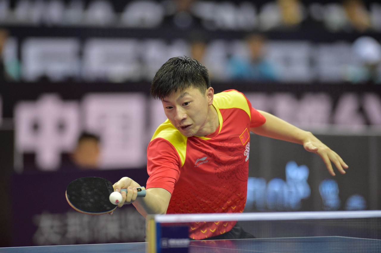 严格按照教 严格按照教