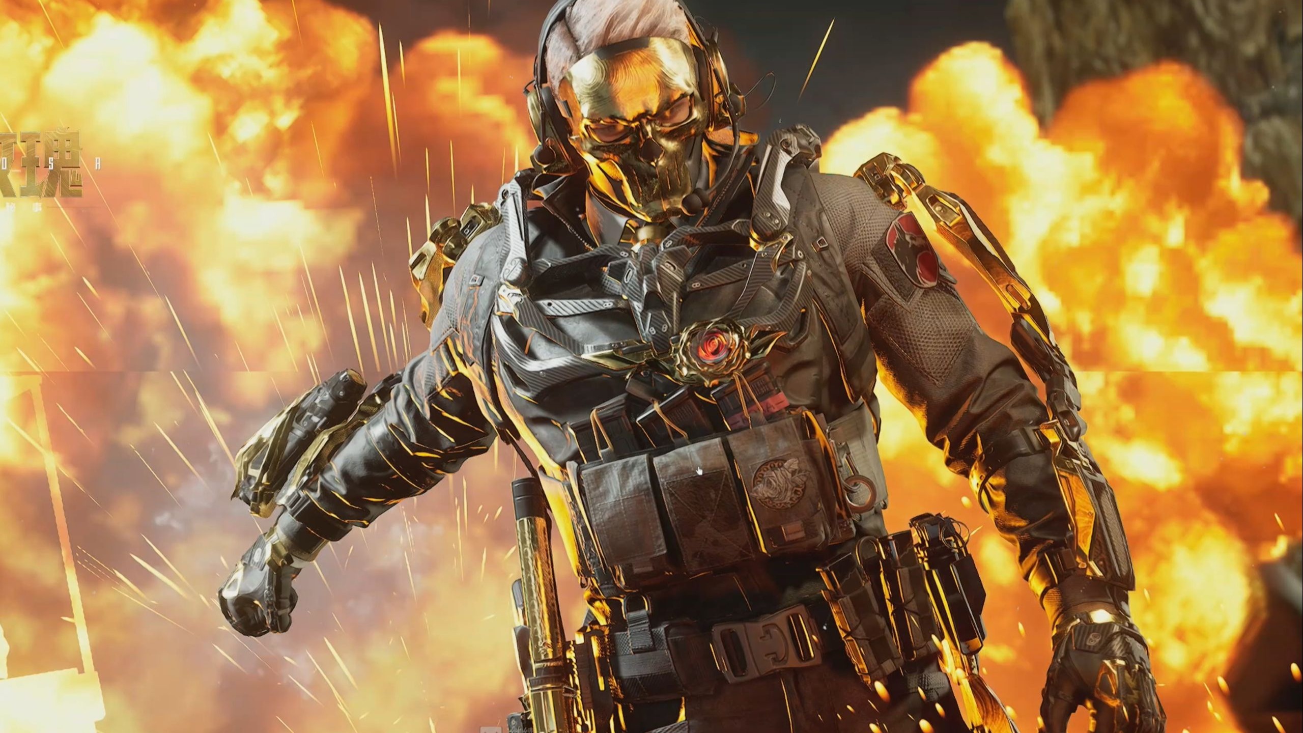 的情感投入 的情感投入