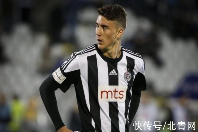 坛的常青树 坛的常青树