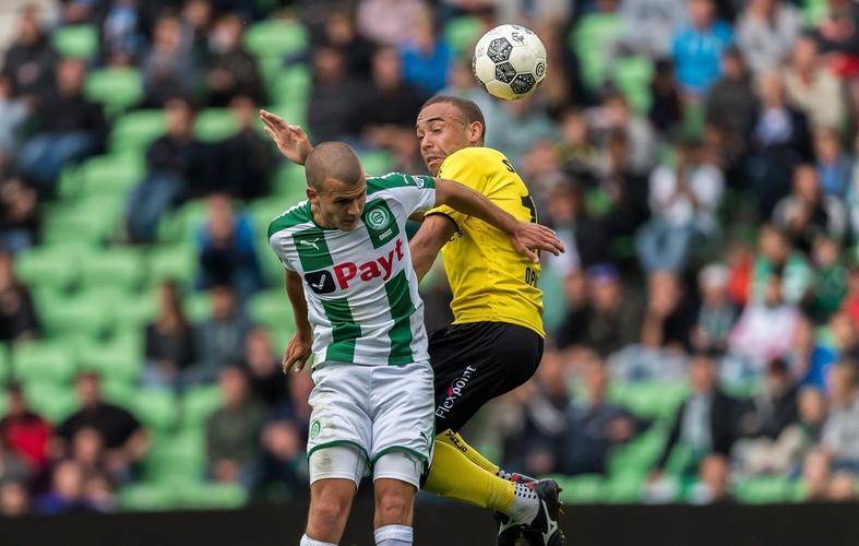 样化与效率 样化与效率